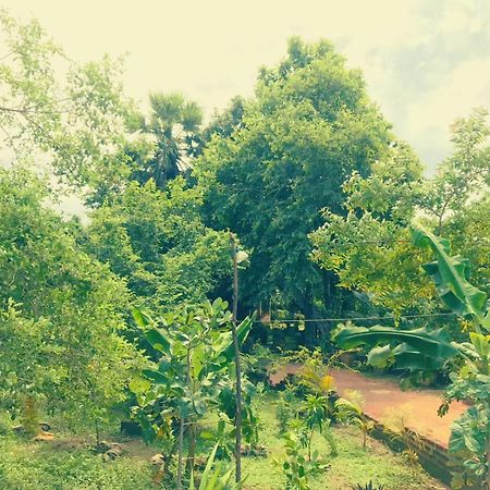 Oleena Home Stay 哈伯勒内 外观 照片