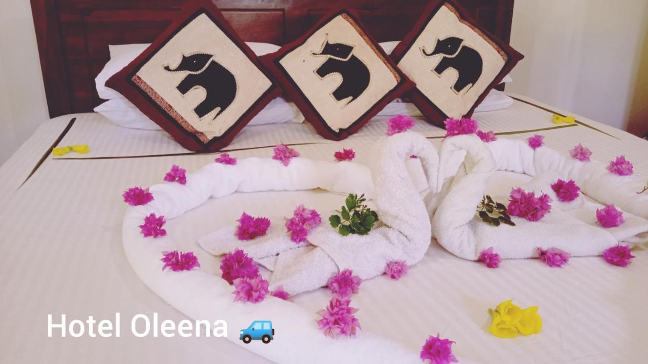 Oleena Home Stay 哈伯勒内 外观 照片