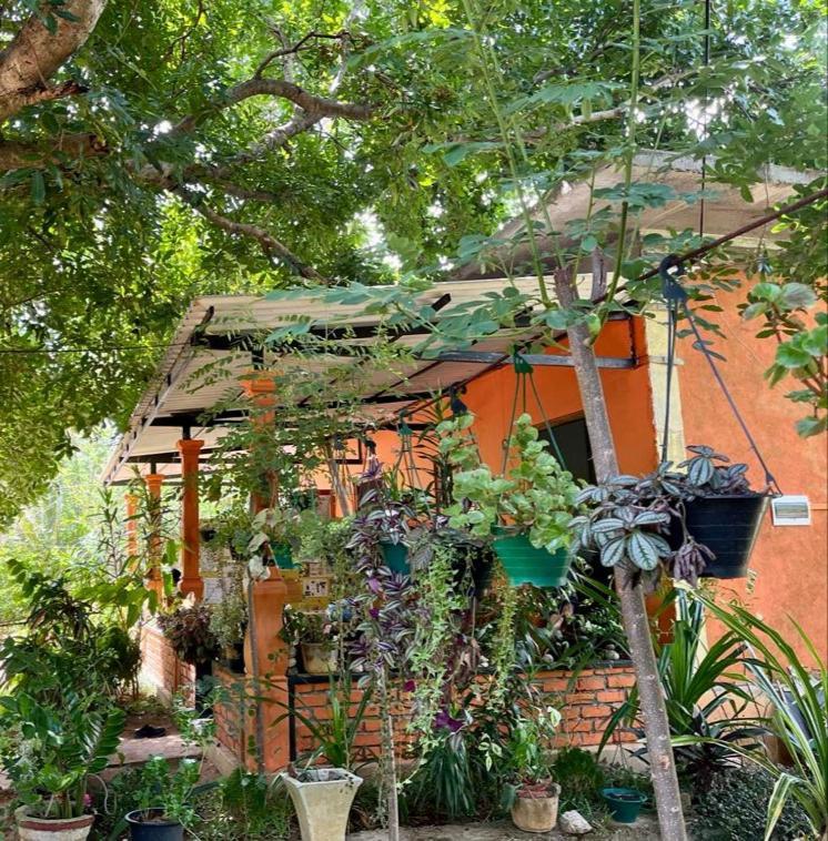 Oleena Home Stay 哈伯勒内 外观 照片