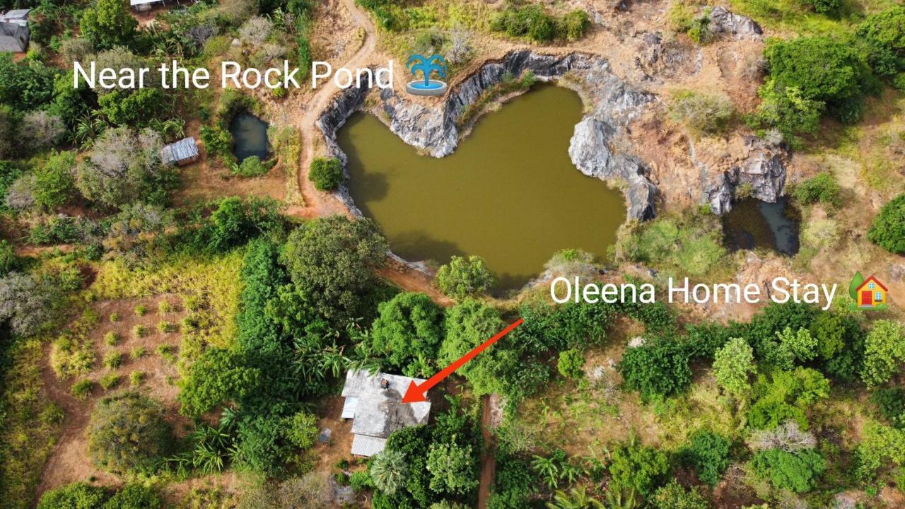 Oleena Home Stay 哈伯勒内 外观 照片