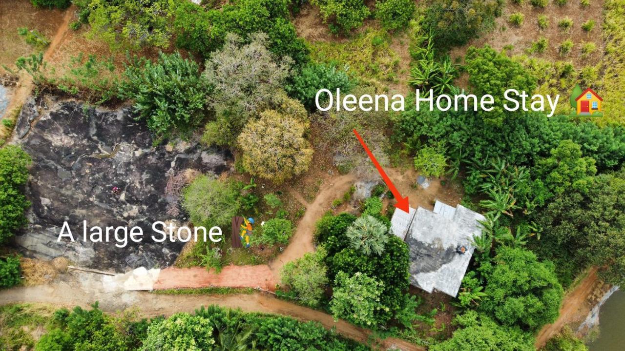 Oleena Home Stay 哈伯勒内 外观 照片