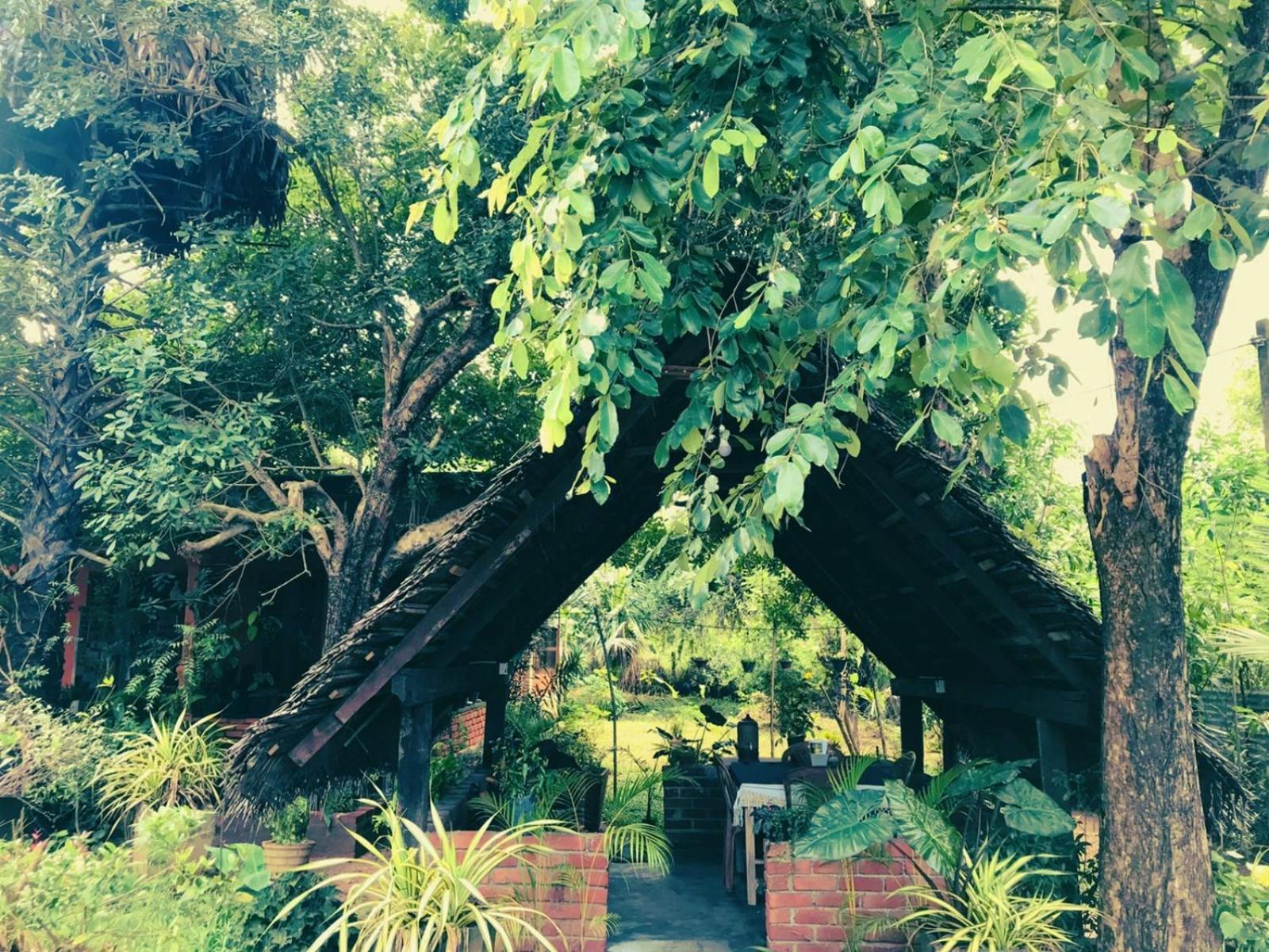 Oleena Home Stay 哈伯勒内 外观 照片