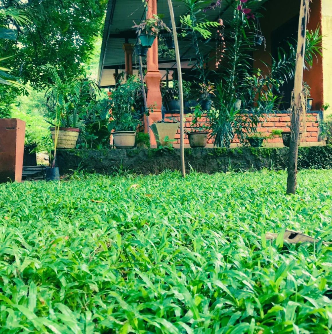 Oleena Home Stay 哈伯勒内 外观 照片