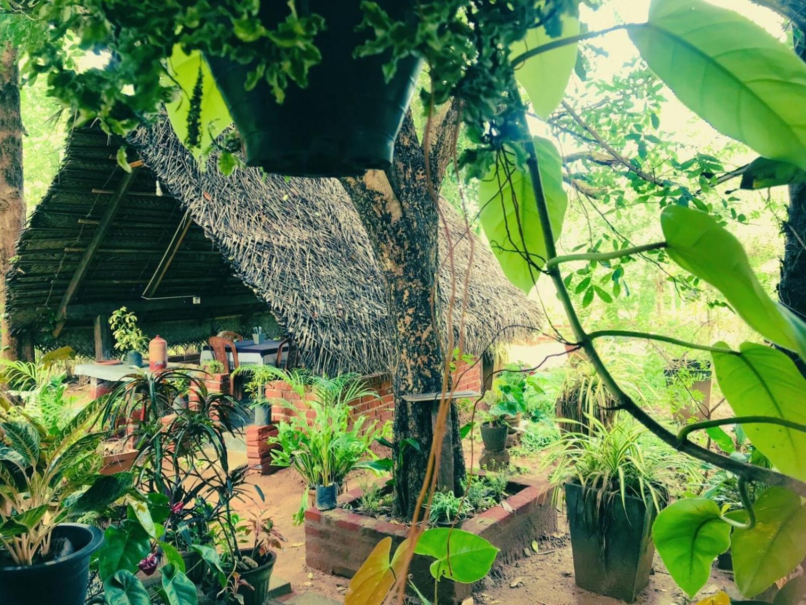 Oleena Home Stay 哈伯勒内 外观 照片
