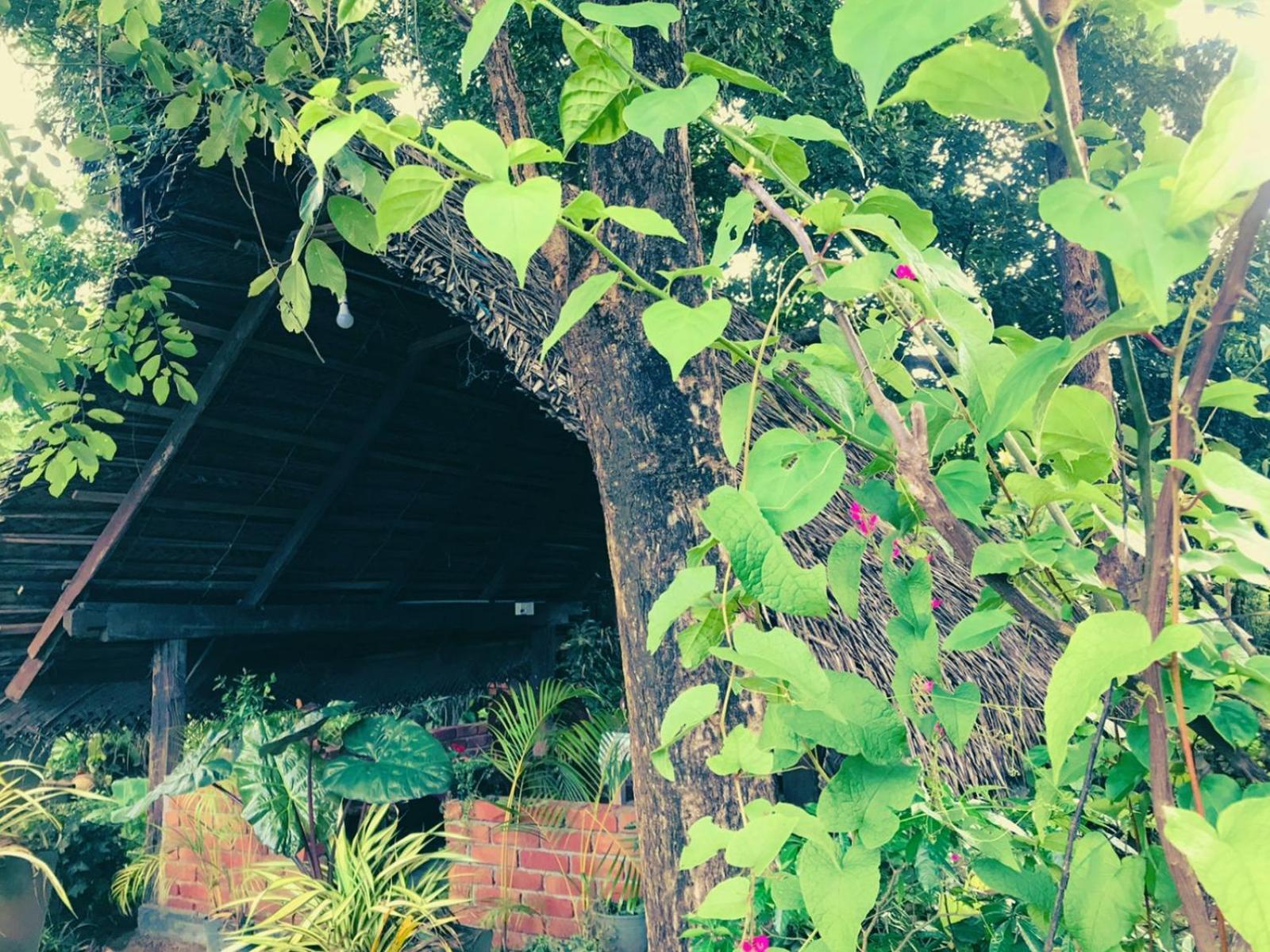 Oleena Home Stay 哈伯勒内 外观 照片